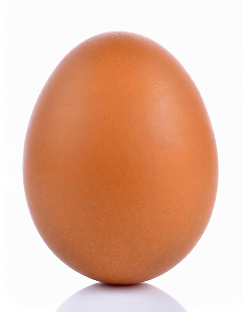 œuf de poulet isolé sur fond blanc