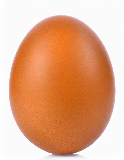 œuf de poulet isolé sur fond blanc