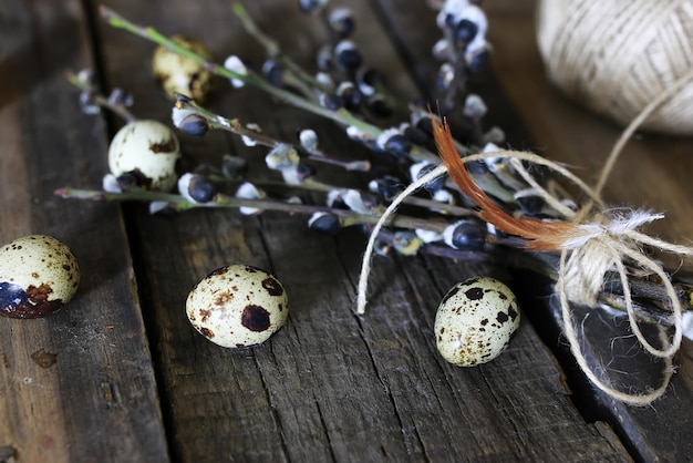 Oeuf de printemps brindille saule fond bois