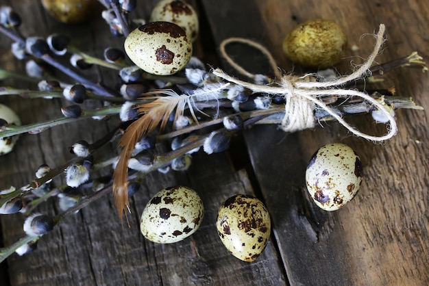 Oeuf de printemps brindille saule fond bois