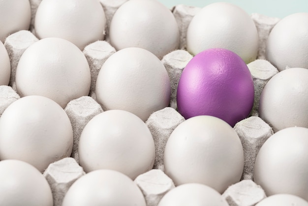 Oeuf rouge pourpre de Pâques parmi de nombreux autres blancs identiques.