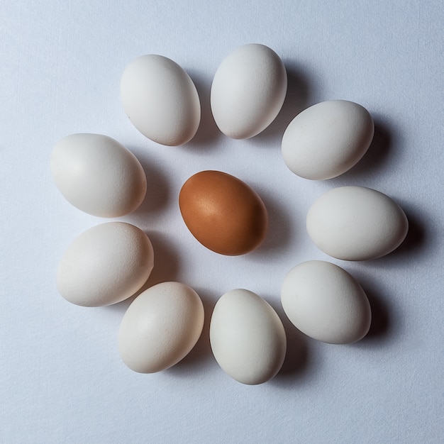 Oeufs blancs biologiques sur fond blanc.