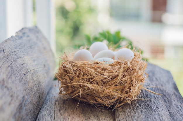 Oeufs blancs de Pâques dans le nid