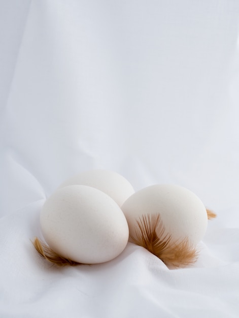 Oeufs blancs avec plume sur tissu blanc