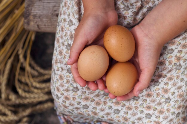 Oeufs bruns frais de ferme dans des mains de fille avec des épis de blé sur le fond