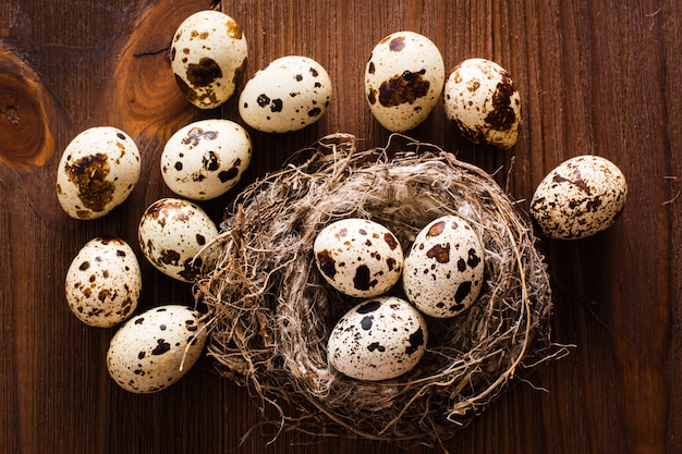 Oeufs de caille au nid et sur une table en bois. Vue de dessus