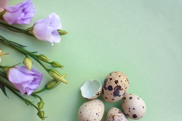 Œufs De Caille Et Un Bouquet De Fleurs De Printemps