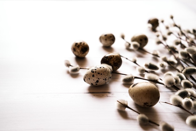 Oeufs de caille et branches de saule chatte sur fond de bois blanc pâques 2