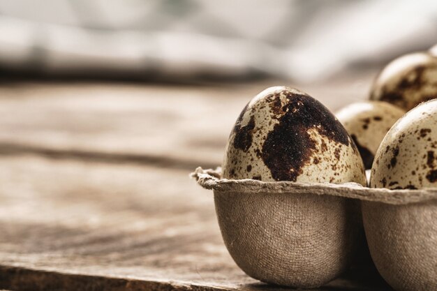 Oeufs de caille dans une boîte en carton.