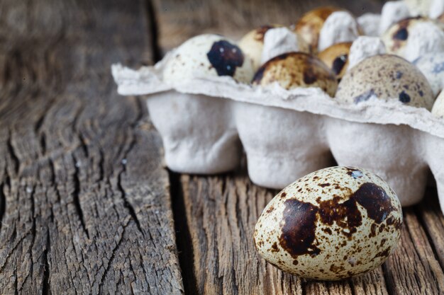 Oeufs de caille dans un emballage en carton.