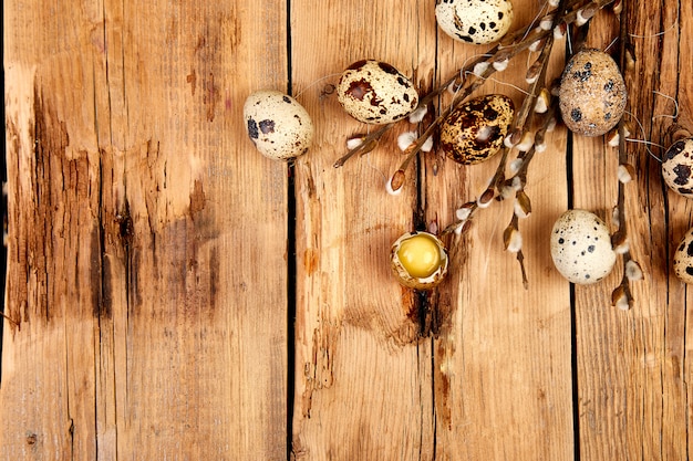 Oeufs de caille dans le nid sur fond de bois avec une branche de saule.