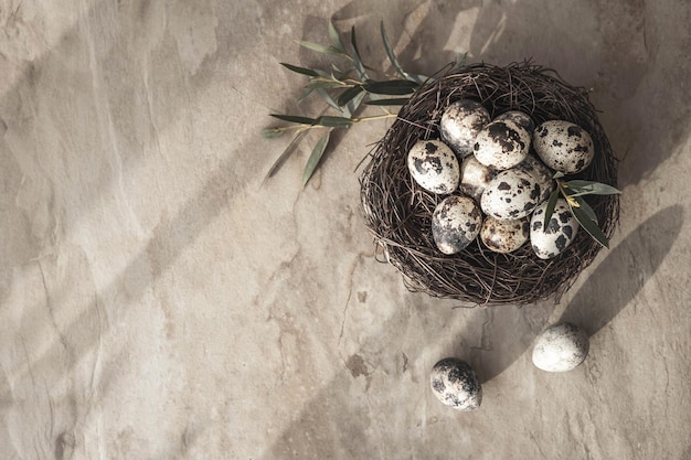 Oeufs de caille dans un nid d'oiseau sur fond de pierre avec ombre. Joyeuses Pâques. Style rustique. Espace de copie. Mise à plat, vue de dessus.