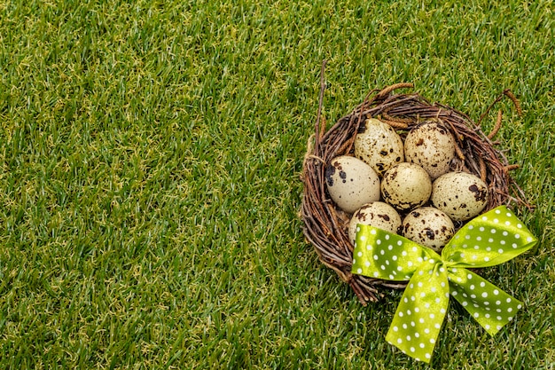 Oeufs de caille dans un nid d'oiseau sur l'herbe verte fraîche et ensoleillée