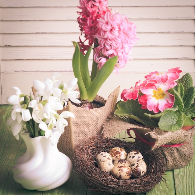 Oeufs de caille dans le nid, symbole du printemps et des fleurs