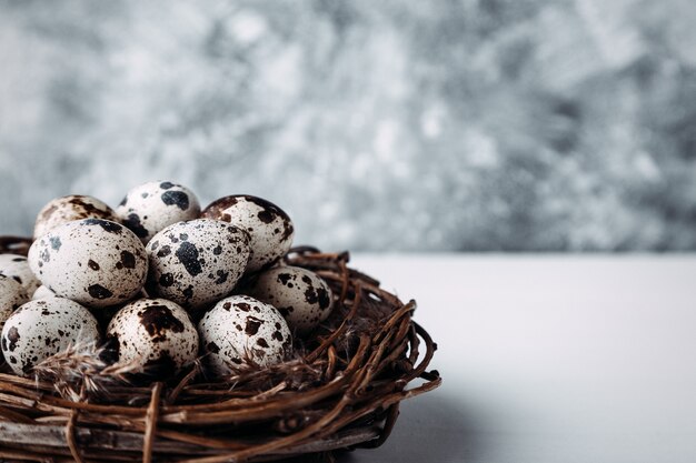 Oeufs de caille dans nid sur table