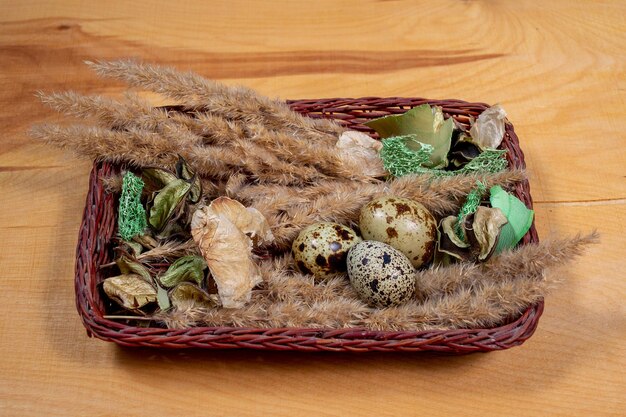 Oeufs de caille dans un panier de foin de pâques