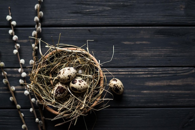 Oeufs de caille sur fond noir