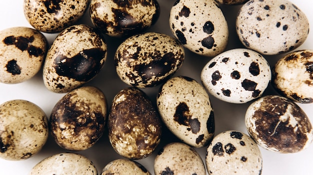 Oeufs de caille isolés sur fond blanc close up