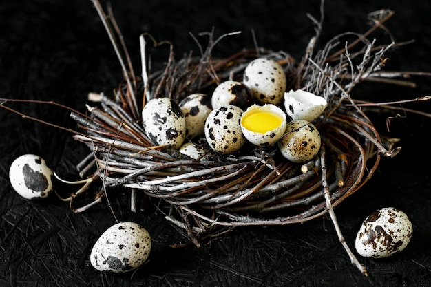 Oeufs de caille Oeufs dans le nid Fond sombre