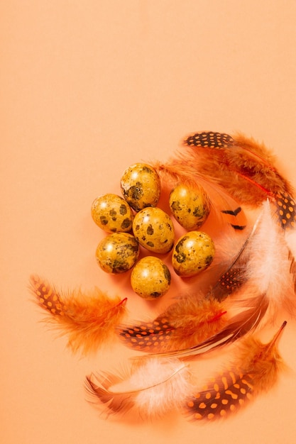 Oeufs de caille d'or de Pâques sur le fond en pastel