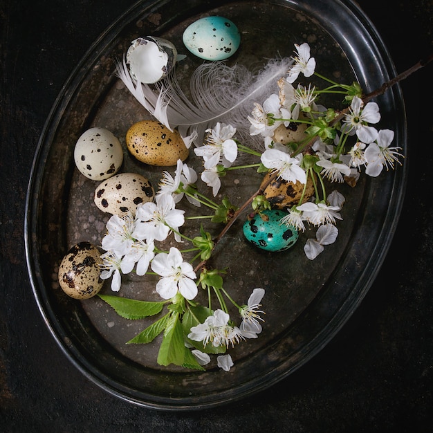 Oeufs de caille de Pâques colorés