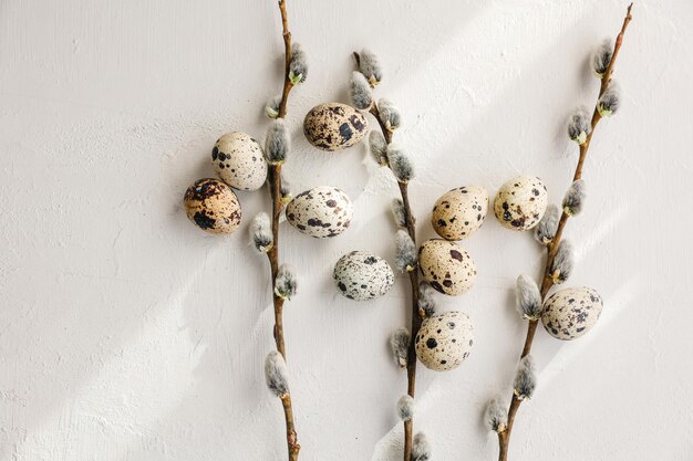 Oeufs de caille de Pâques dans le nid et la branche de saule sur fond blanc