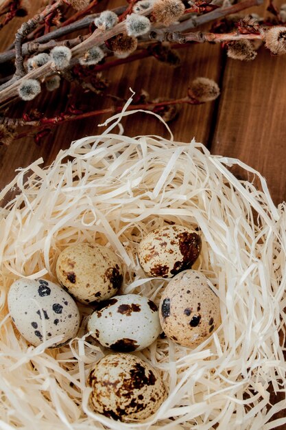 Oeufs de caille de Pâques dans le nid et la branche de saule sur une surface en bois