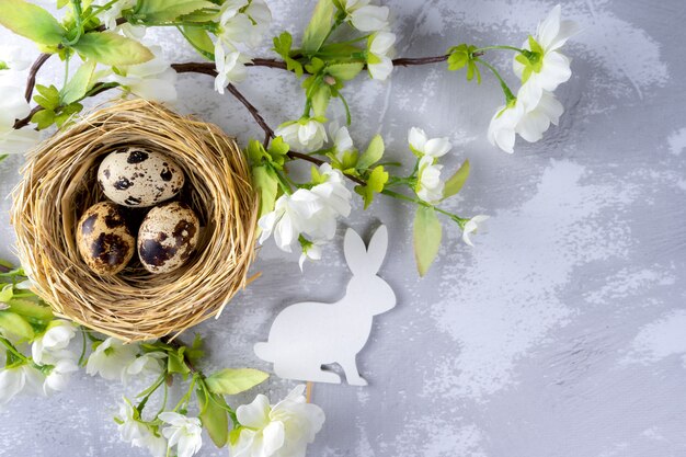 Oeufs de caille de Pâques en nid de paille et lapin de Pâques blanc avec branche fleurie avec des fleurs blanches sur fond de plâtre blanc gris.