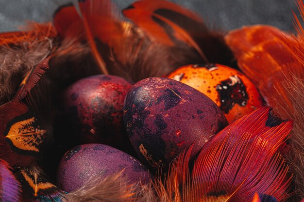 Oeufs de caille de Pâques en plumes sur fond sombre