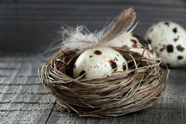 Oeufs de caille et plume au nid sur fond en bois