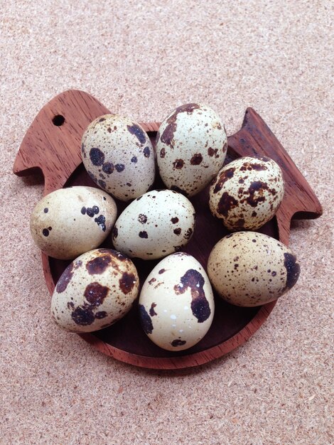 Oeufs de caille sur une soucoupe en forme d&#39;oiseau en bois sur fond de contreplaqué