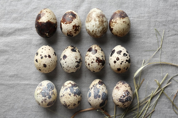 Oeufs de caille sur tissu gris