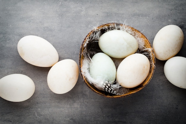 Oeufs de canard sur fond gris cage.