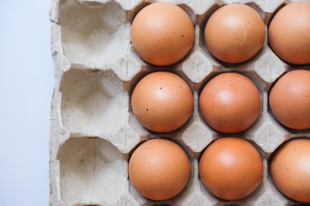 Oeufs en carton d'oeufs