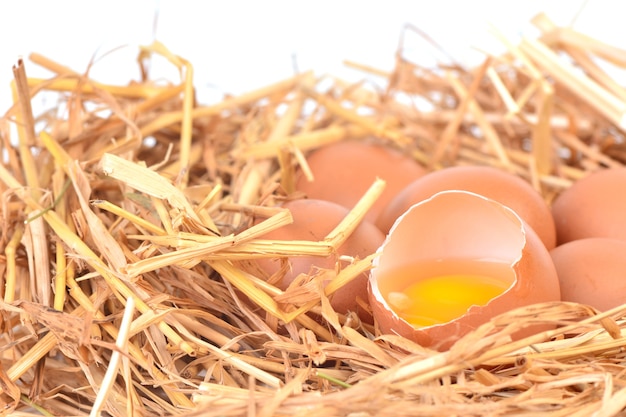 Oeufs cassés frais sur des pailles