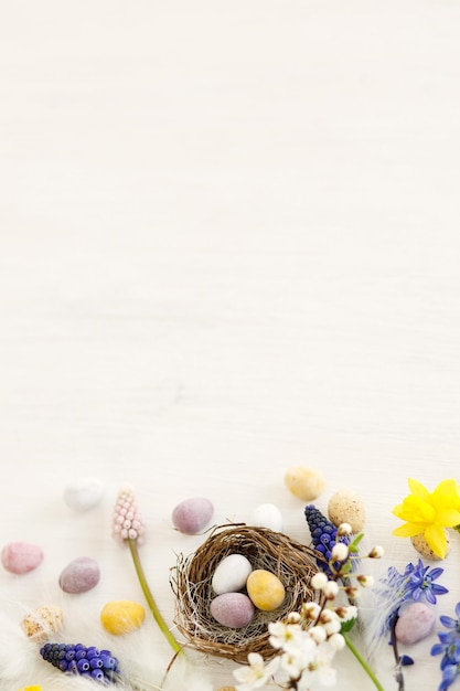 Les œufs de chocolat de Pâques colorés dans le nid les fleurs de printemps les plumes à la frontière