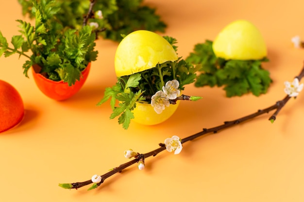 Oeufs colorés avec herbe verte printanière et branche d'arbre en fleurs sur fond orange Traditions familiales de vacances de Pâques