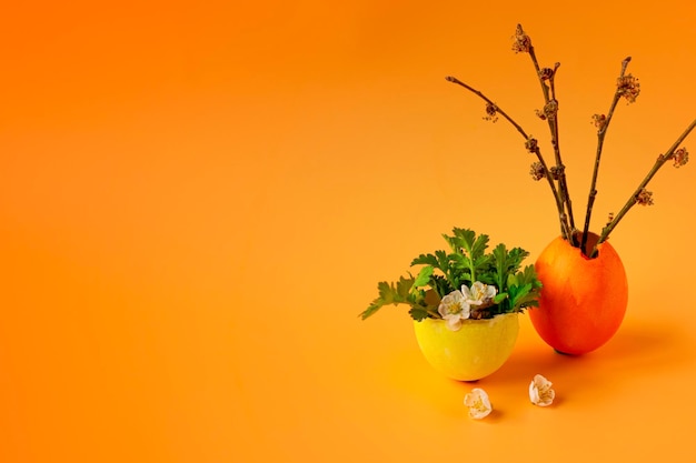 Oeufs colorés avec herbe verte printanière et branche d'arbre en fleurs sur fond orange Traditions familiales de vacances de Pâques