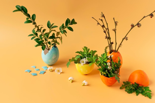 Oeufs colorés avec herbe verte printanière et branche d'arbre en fleurs sur fond orange Traditions familiales de vacances de Pâques