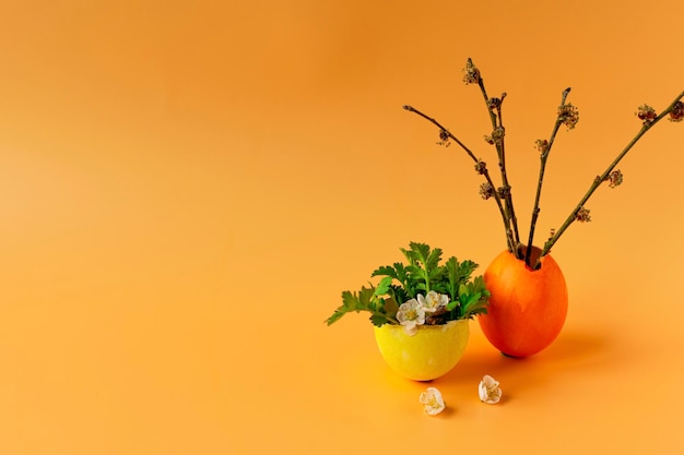 Oeufs colorés avec herbe verte printanière et branche d'arbre en fleurs sur fond orange Traditions familiales de vacances de Pâques