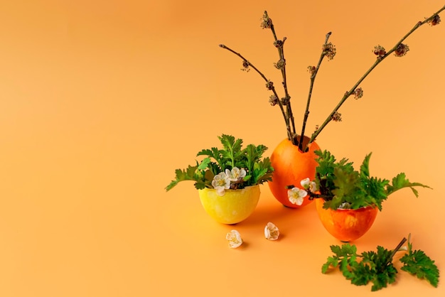 Oeufs colorés avec herbe verte printanière et branche d'arbre en fleurs sur fond orange Traditions familiales de vacances de Pâques