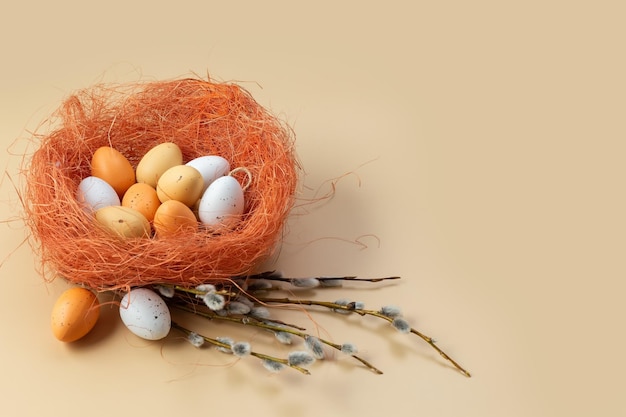 Oeufs colorés de Pâques dans un nid d'oiseau et branches de saule concept fond copie espace photo