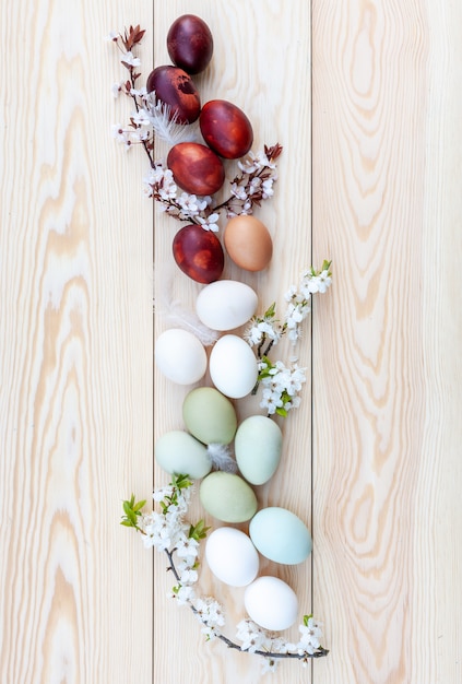 Oeufs Colorés De Poulet Frais Et Fleurs De Cerisiers Sur Fond En Bois Blanc