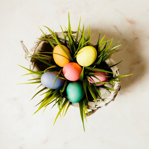 Oeufs de couleur dans l'herbe, espace de copie pour les salutations de Pâques