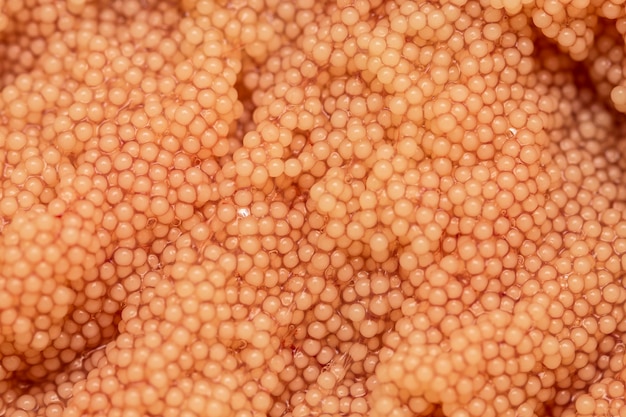 Oeufs crus et poisson, le fond avec du caviar.