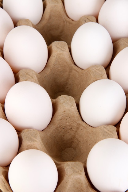 Oeufs dans le bac à papier close-up