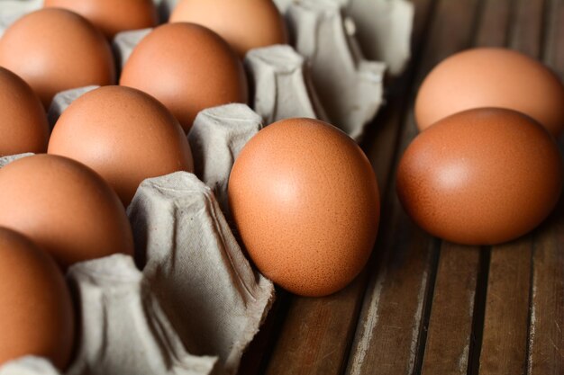 Oeufs dans un bac à papier