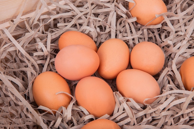 oeufs dans la boîte en bois