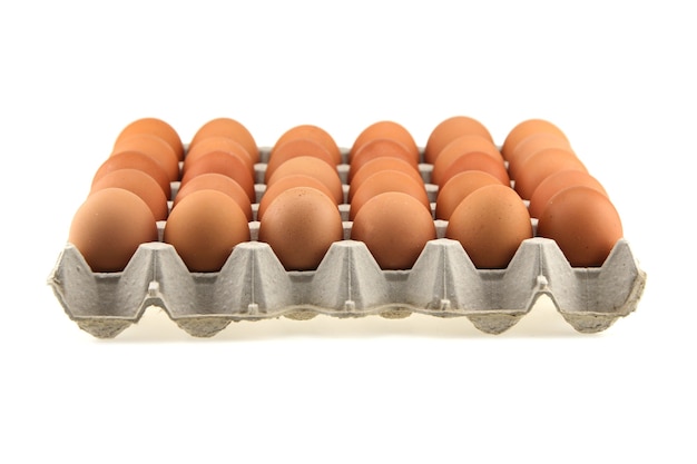 Oeufs dans une boîte en carton. Close up brown frais trente (30) œufs de poule dans un emballage isolé sur fond blanc.