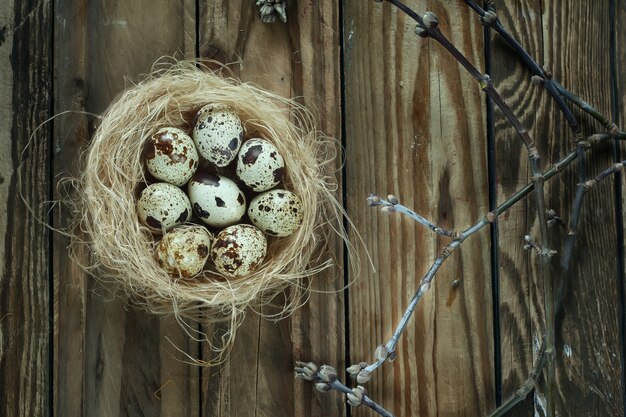 Oeufs dans un nid avec des branches sur une table en bois